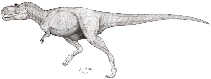Albertosaurus