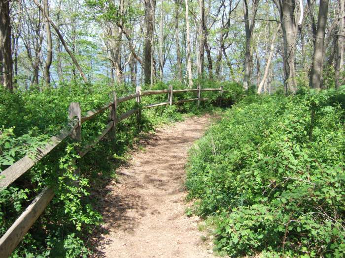 Garvies Point Museum and Preserve DINOSAURS AND BARBARIANS