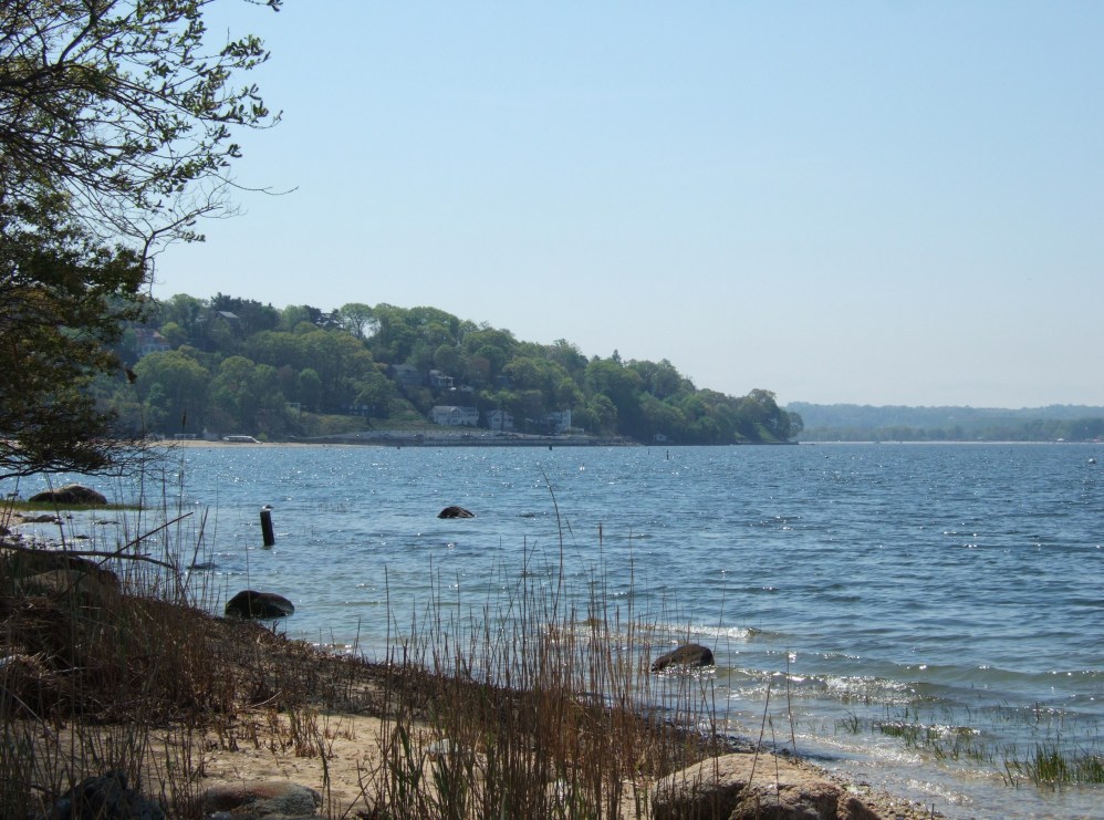 Garvies Point Museum and Preserve DINOSAURS AND BARBARIANS