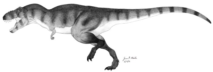 Tyrannosaurus rex body