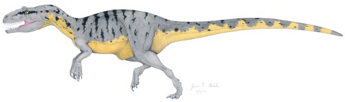 Allosaurus