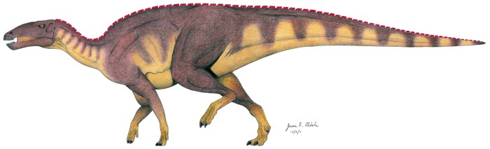 Edmontosaurus