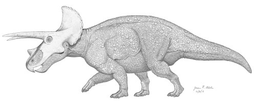 Triceratops
